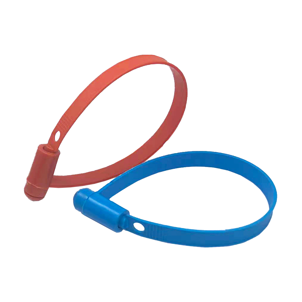 Sigilli a fascia in plastica Plastic Band Seals