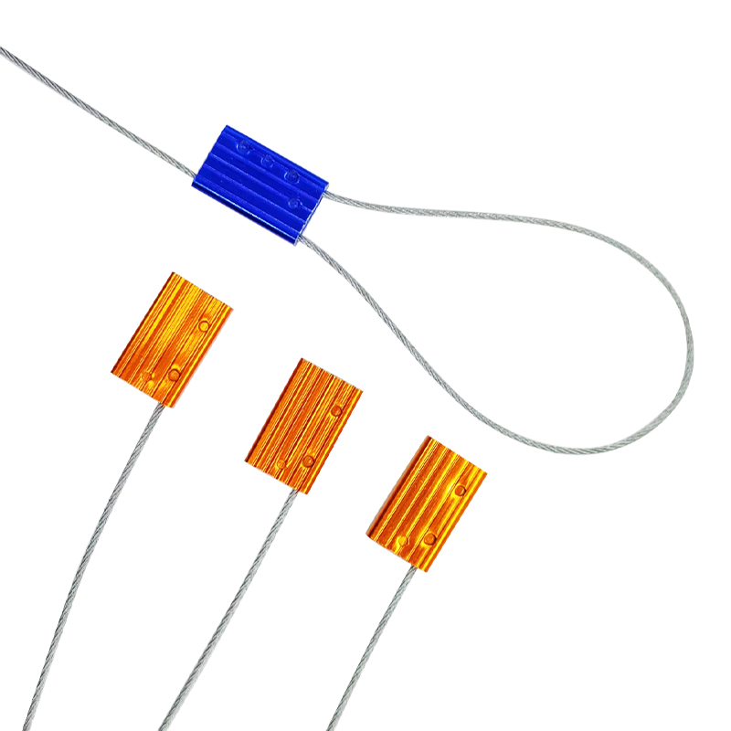 Guarnizione del vagone cisterna