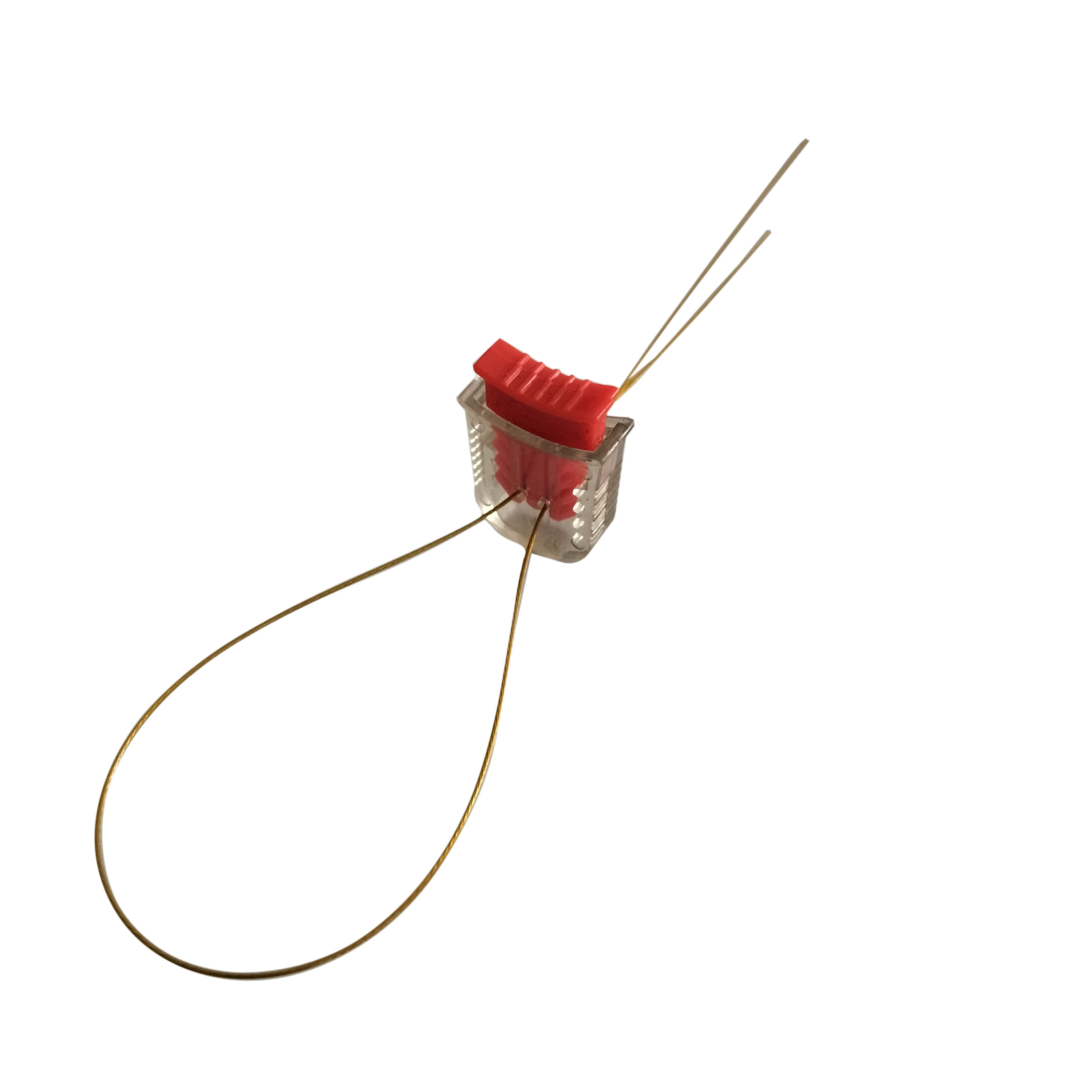 Sigillo della scatola del contatore Sigillo della scatola del contatore