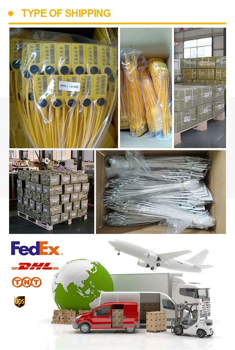 Spedizione e trasporto Shipping&Transportation