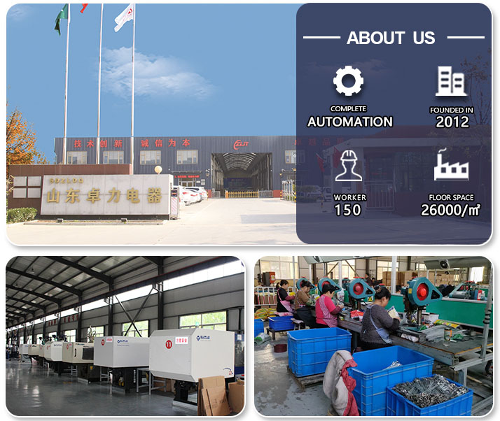 Sigilli in plastica antimanomissione Plastic Tamper Evident Seals