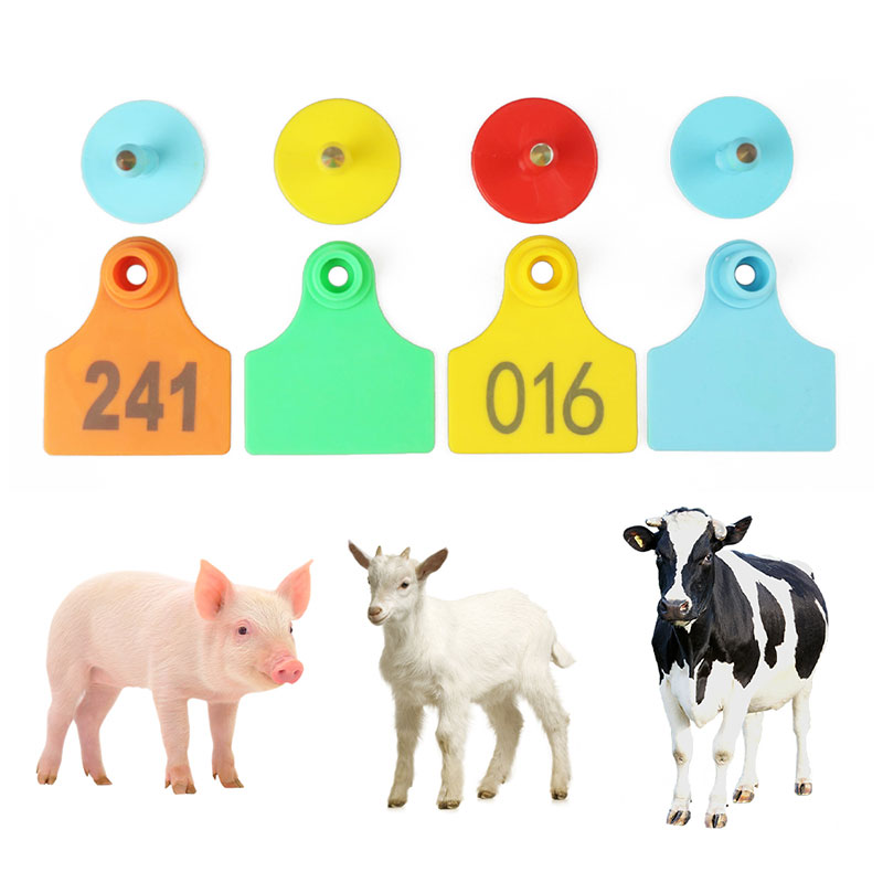 marchi auricolari degli animali marchi auricolari degli animali