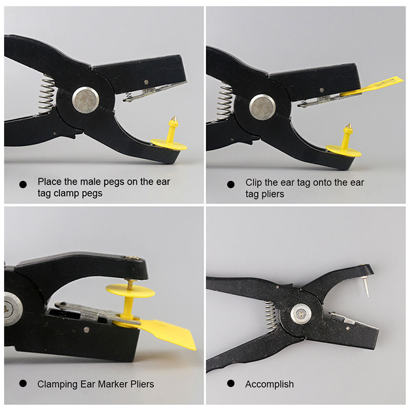 Applicazioni delle marche auricolari degli animali Applicazioni delle marche auricolari degli animali