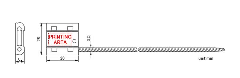 1719215669570416.jpg Disegno dimensionale.jpg